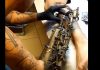 tatuiruotės